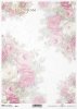  róża, róże, ogród, kwiat, wiosna, lato, pastel, R837, rose, garden, flower, spring, summer, pastel, Rose, Rosen, Garten, Blume, Frühling, Sommer, Pastell, rosa, rosas, jardín, flor, primavera, verano, pastel 